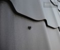 /album/bilder/beta-3-jpg/